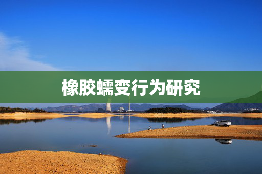 橡胶蠕变行为研究